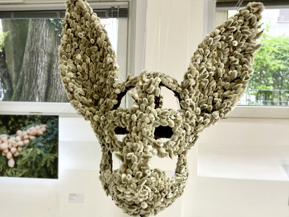 Atelier Lucero Hernandez, Foto: T. Hohenberger