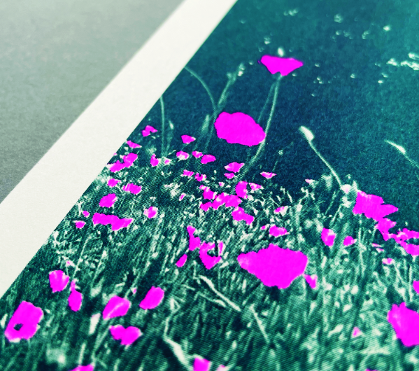 Ausstellerbild fluopink